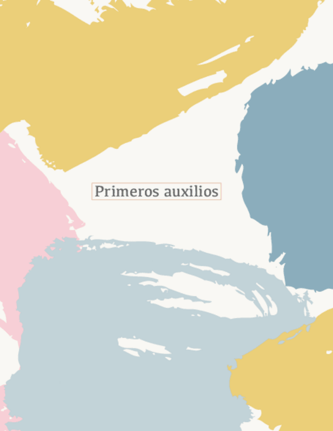 Miniatura del documento Primeros-auxilios.pdf