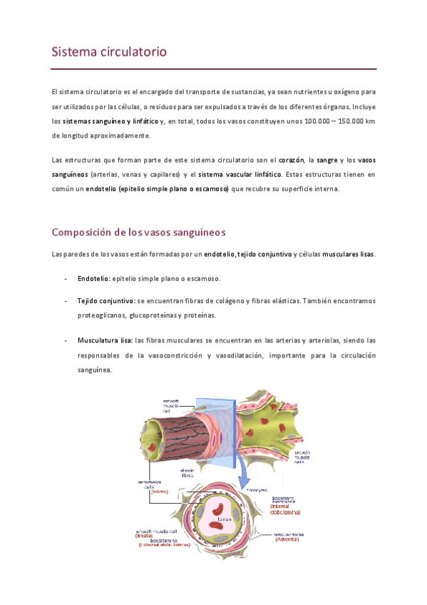 Miniatura del documento Teoria-organo.pdf