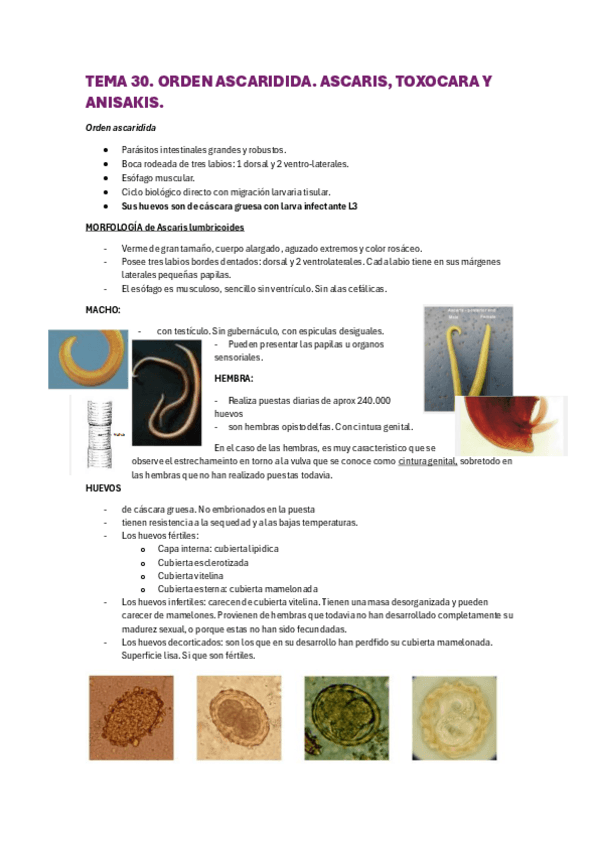 Miniatura del documento PARASITOLOGIA-2-CUATRI-2a-parte.pdf