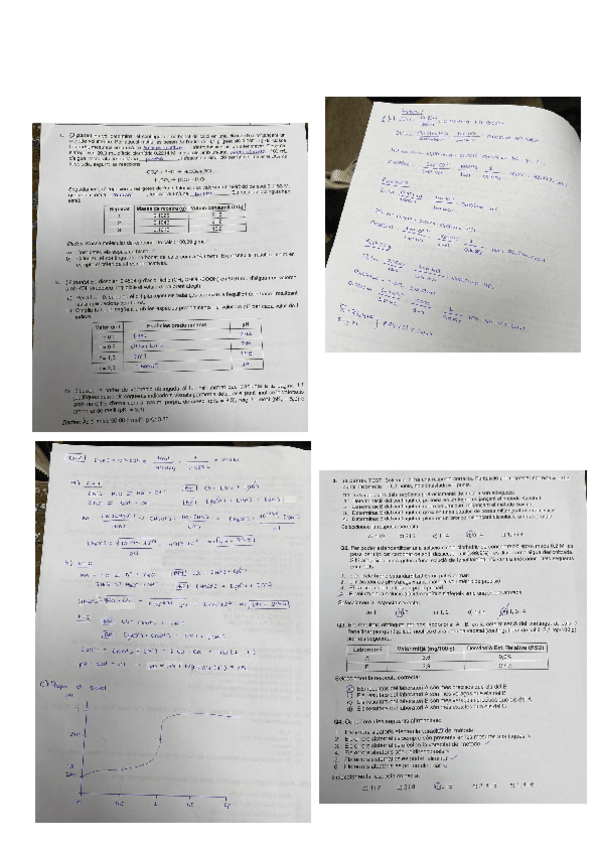 Miniatura del documento analitica-examen-correccio.pdf