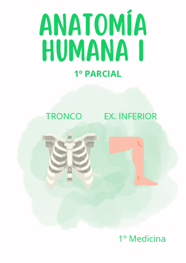 Miniatura del documento Anatomia-Humana-1o-Parcial-MMJ.pdf