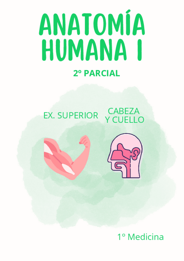 Miniatura del documento Anatomia-Humana-2o-Parcial-MMJ.pdf