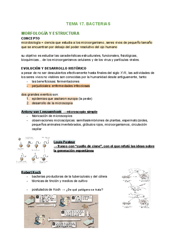 Miniatura del documento TEMA-17-BIOLOGIA.pdf