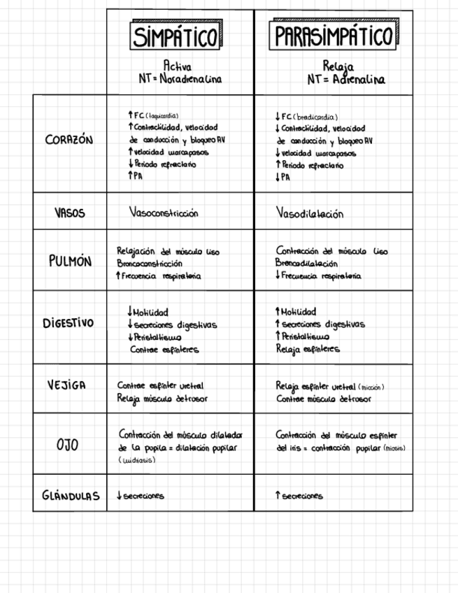 Miniatura del documento SISTEMAS-PARASIMPATICO-Y-SIMPATICO.pdf