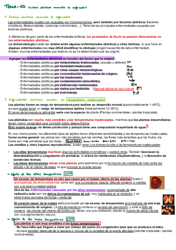 Miniatura del documento Fitopato-t10.pdf