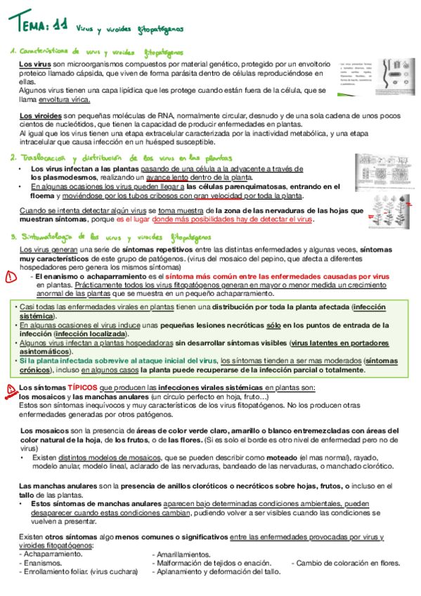 Miniatura del documento Fitopato-t11-y-t12.pdf
