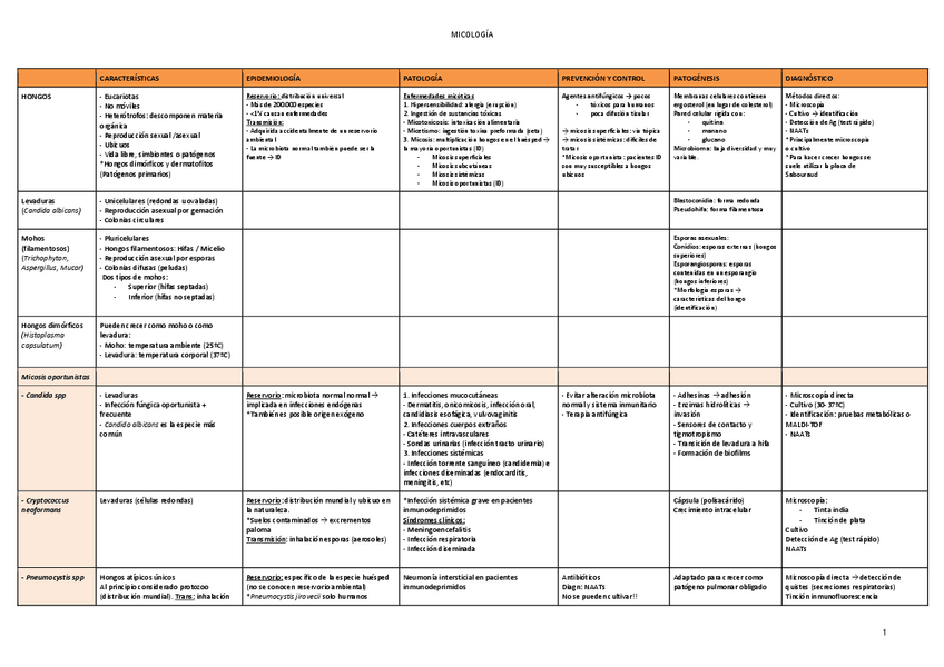 Miniatura del documento TABLA-Micologia-pdf.pdf