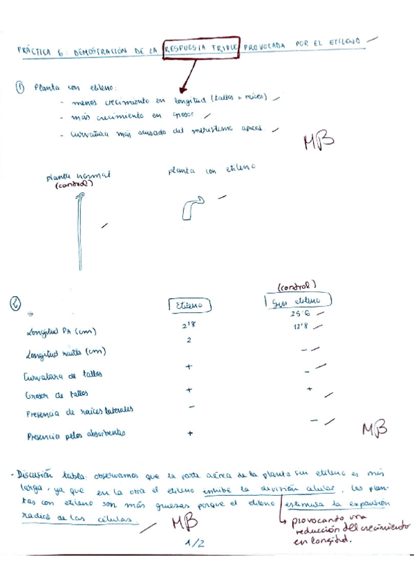Miniatura del documento Practica-6-Demostracion-de-la-respuesta-triple-provocada-por-el-Etileno.pdf