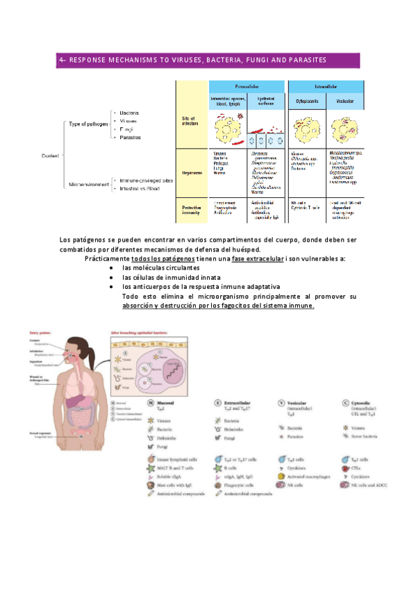 Miniatura del documento PARTE-3.pdf