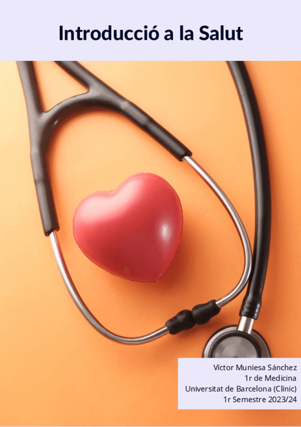 Miniatura del documento Resum-Intro-Salut.pdf