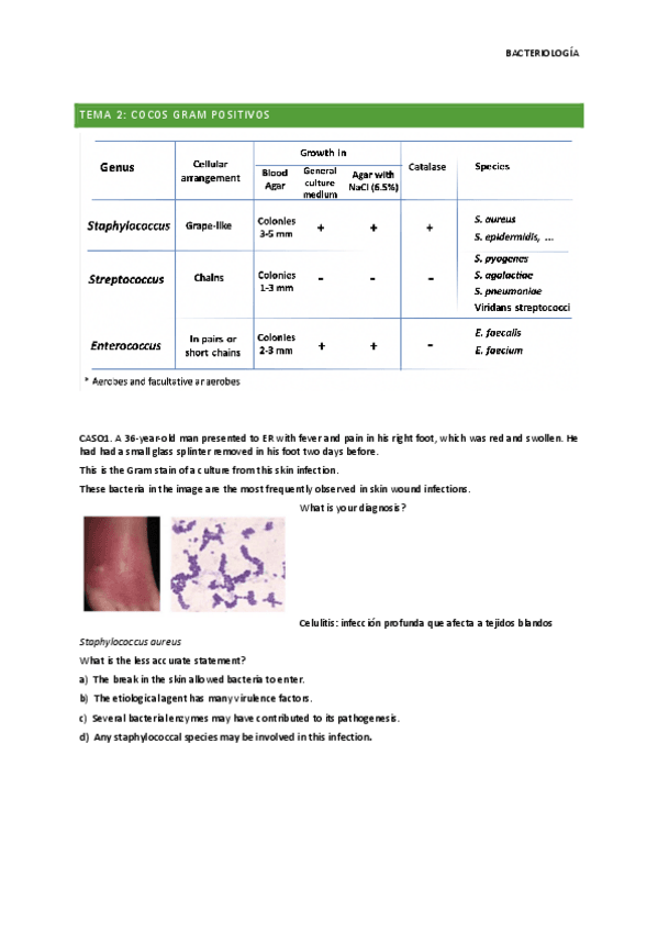 Miniatura del documento Tema-2-8.-BACTERIOLOGIA-parcial.pdf