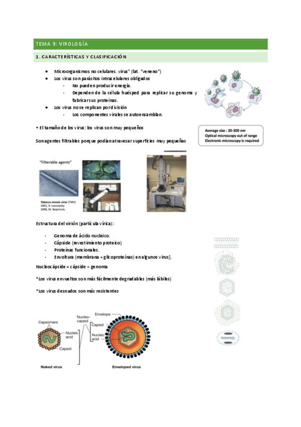 Miniatura del documento VIROLOGIA-pdf.pdf