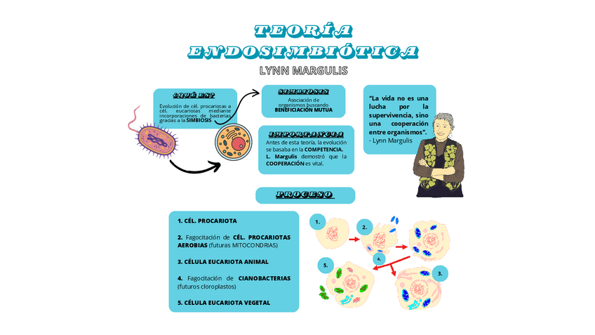 Miniatura del documento TEORIA-ENDOSIMBIOTICA-GRAFICO.-Trabajo-subida-de-nota.pdf
