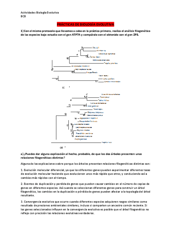 Miniatura del documento Practica-Bioinformatica-Mireia-Llorca.pdf