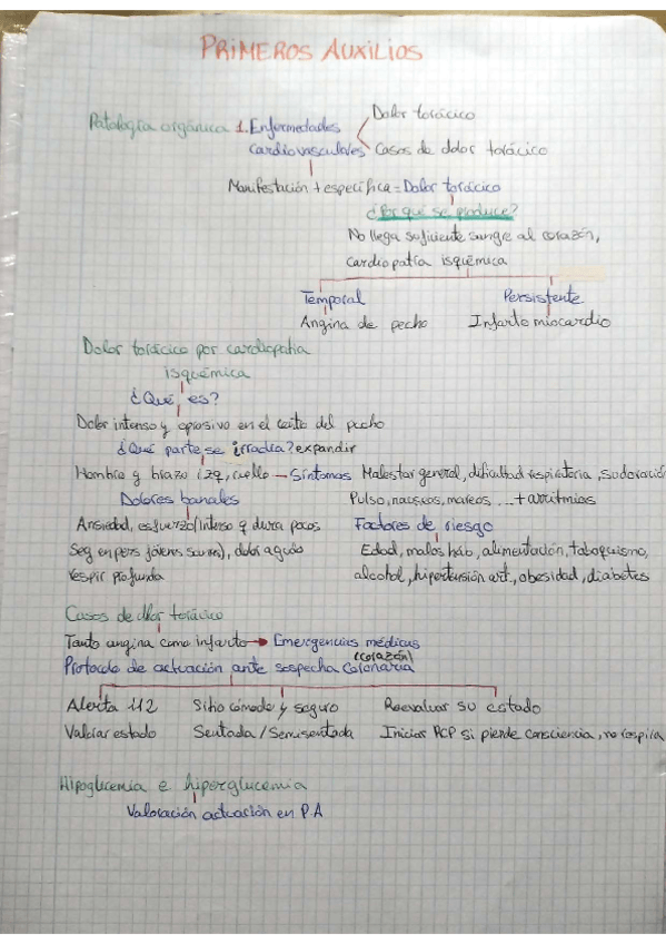 Miniatura del documento Esquema-primeros-auxilios.pdf