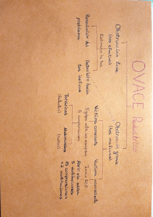 Miniatura del documento Ovace-adultopediatrico.pdf