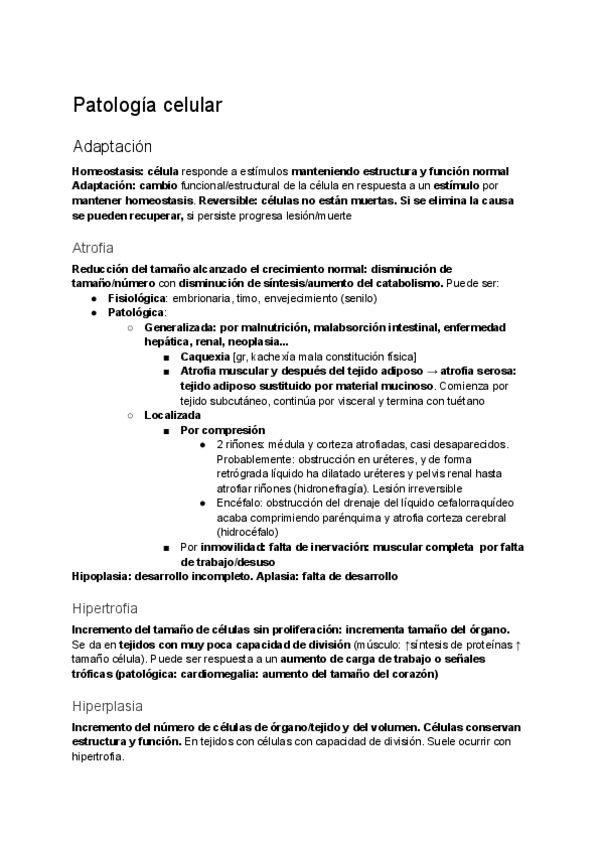 Miniatura del documento Primer-parcial-castellanp.pdf
