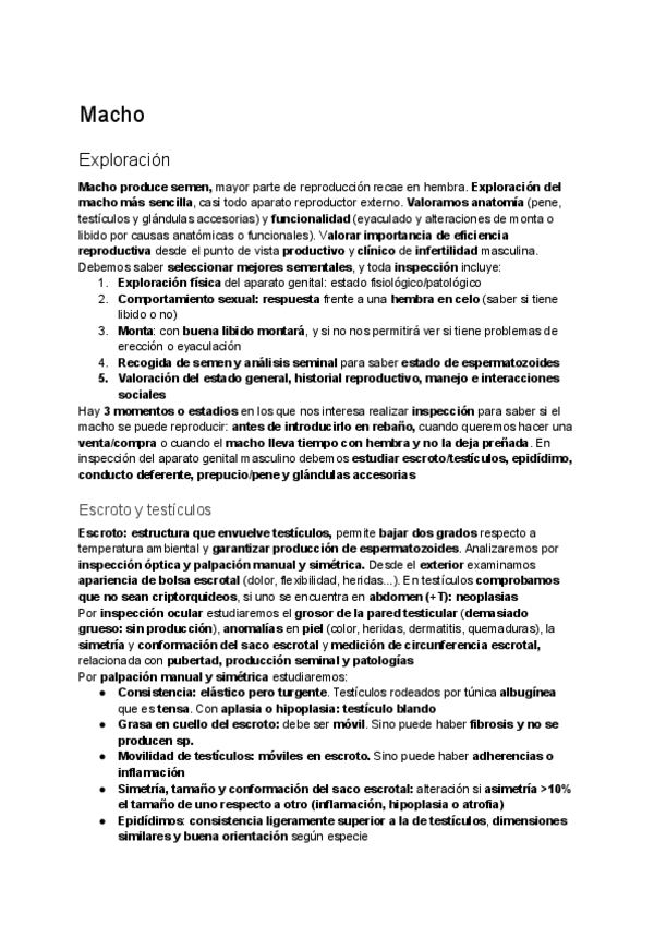 Miniatura del documento Segundo-parcial-castellano.pdf