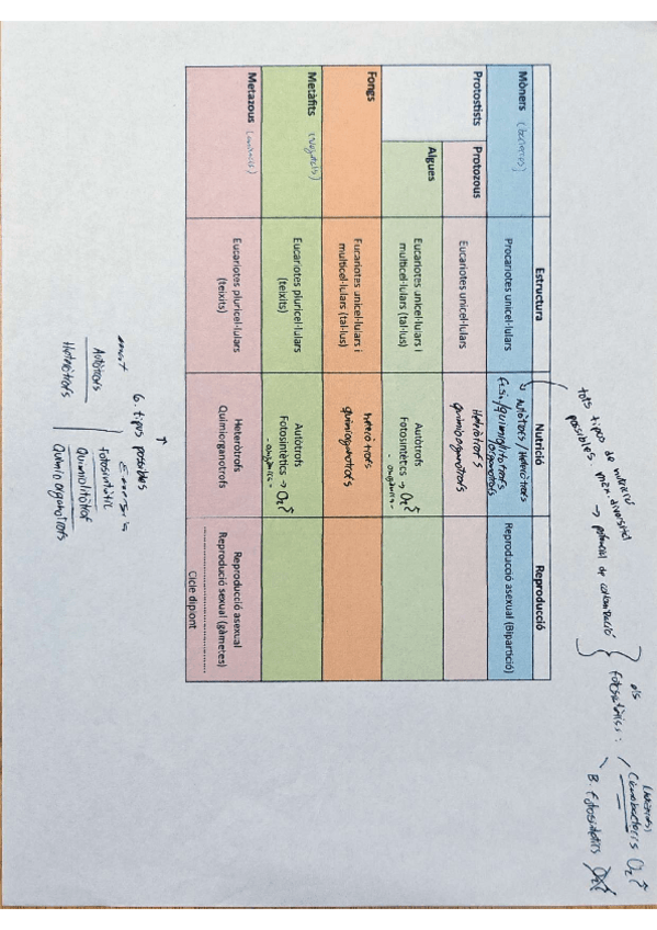 Miniatura del documento metabolisme.pdf