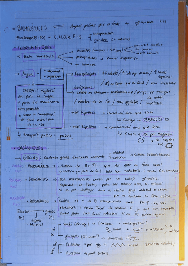 Miniatura del documento biomolecules.pdf