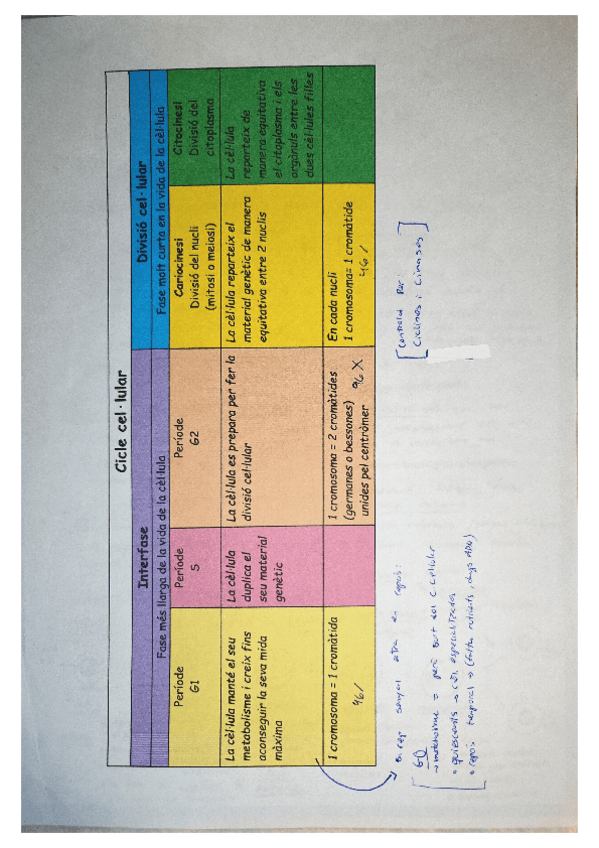 Miniatura del documento cicle-cellular.pdf