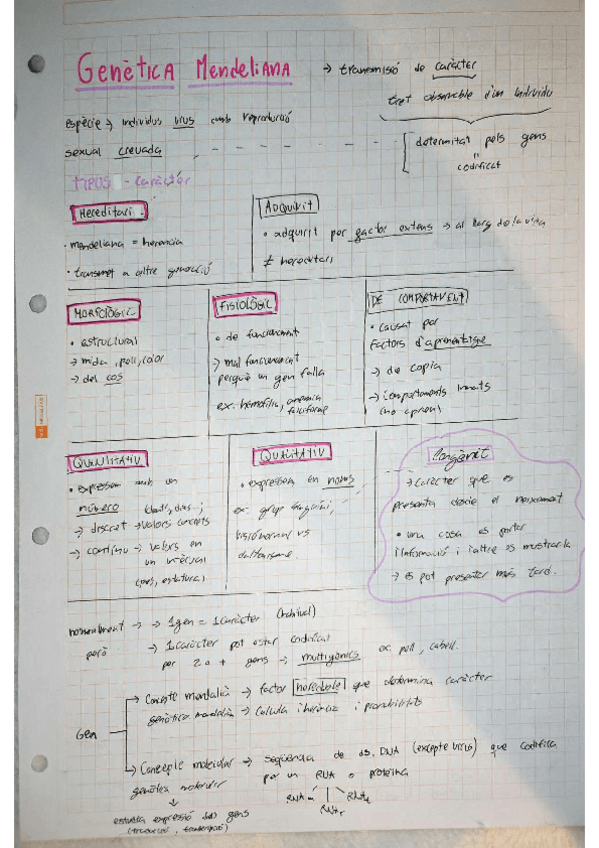 Miniatura del documento genetica.pdf