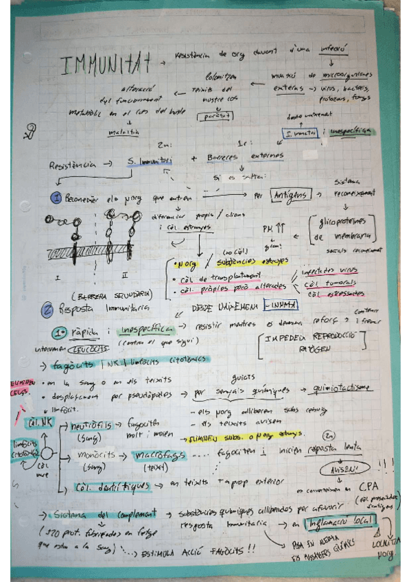 Miniatura del documento immunitat.pdf