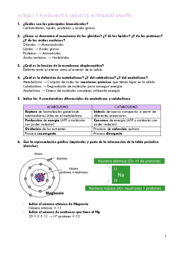Miniatura del documento MODULO-1.-ACTIVIDADES-APUNTES.pdf