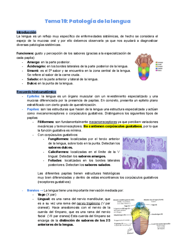Miniatura del documento Tema-19.-Patologia-de-la-lengua.pdf