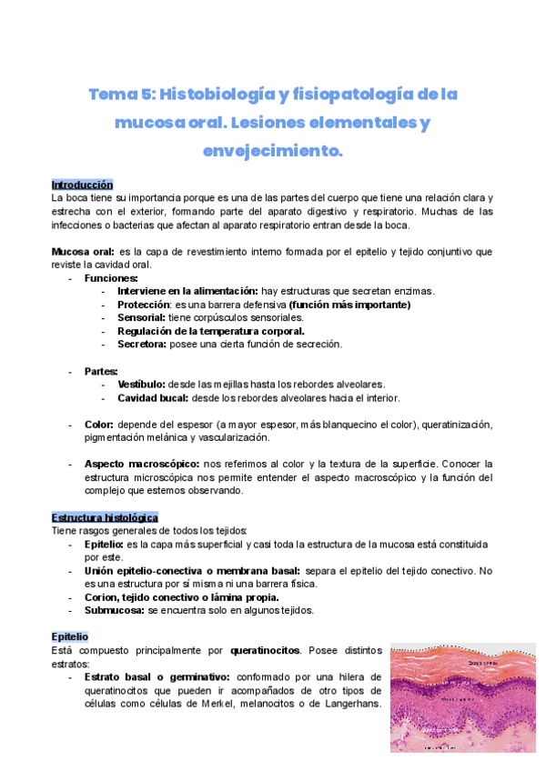 Miniatura del documento Tema-5.-Histobiologia-y-fisiopatologia-de-la-mucosa-oral.-Lesiones-y-envejecimiento.pdf