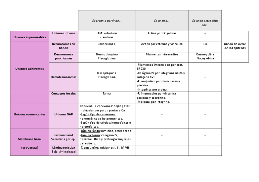 Miniatura del documento tablas-histo.pdf