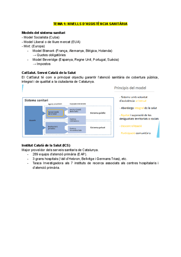 Miniatura del documento TEORIA-PER-TEMES.pdf