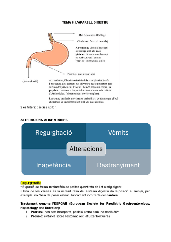 Miniatura del documento TEORIA-PER-TEMES.pdf