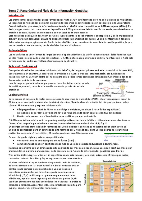 Miniatura del documento 7.-Panoramica-del-Flujo-de-la-Informacion-Genetica.pdf