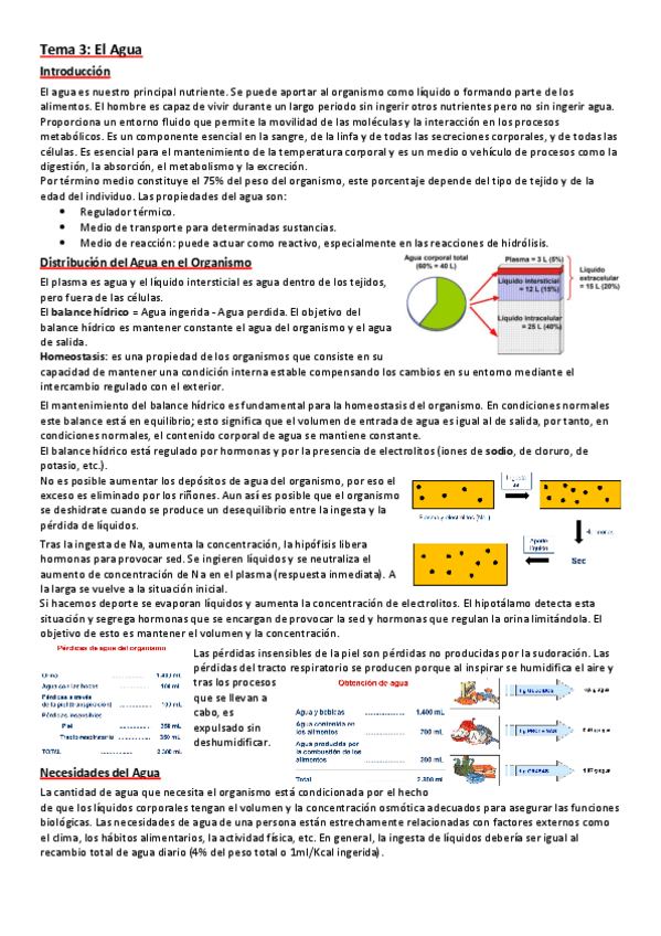 Miniatura del documento 3.-El-Agua.pdf