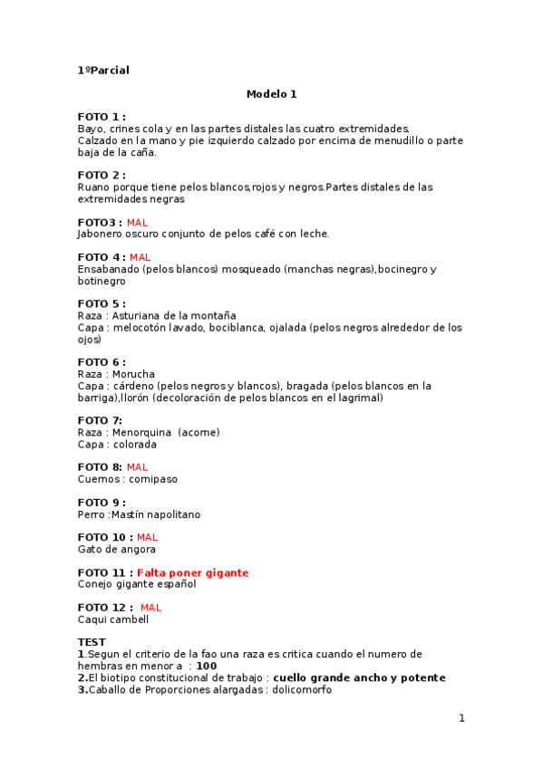 Miniatura del documento Parcial etno.docx