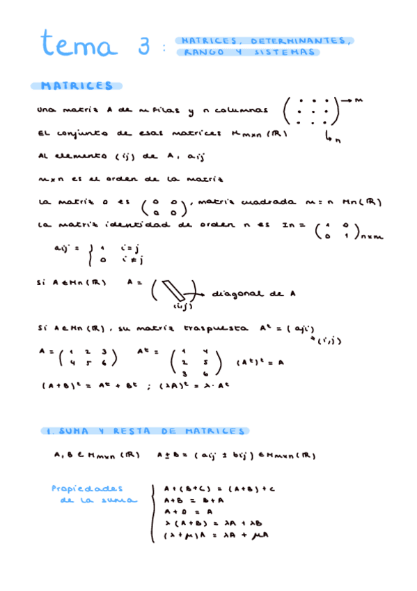 Miniatura del documento tema-3.-matrices-y-determinantes.pdf