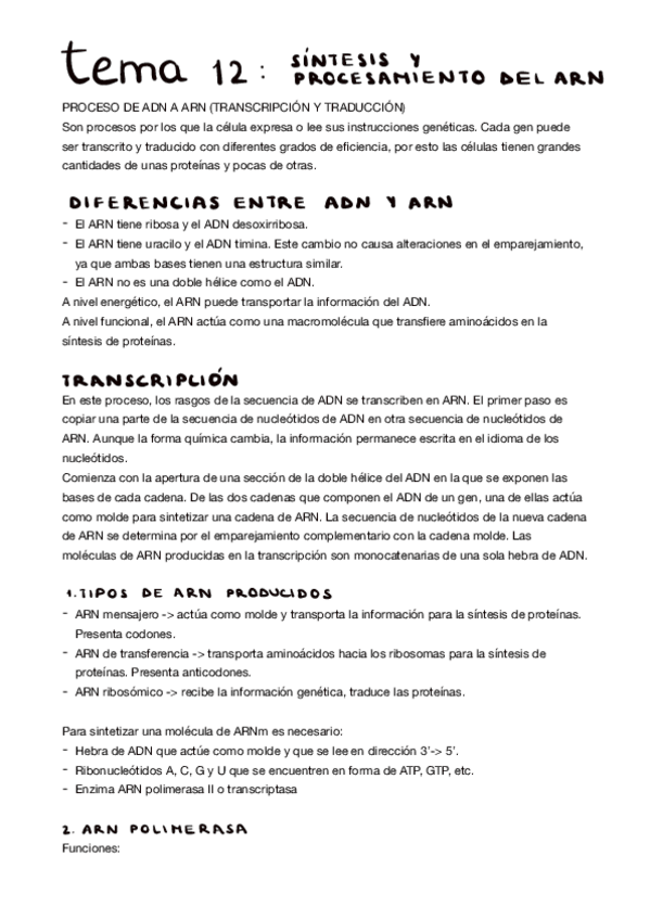Miniatura del documento tema-12.-sintesis-del-ARN-apuntes.pdf