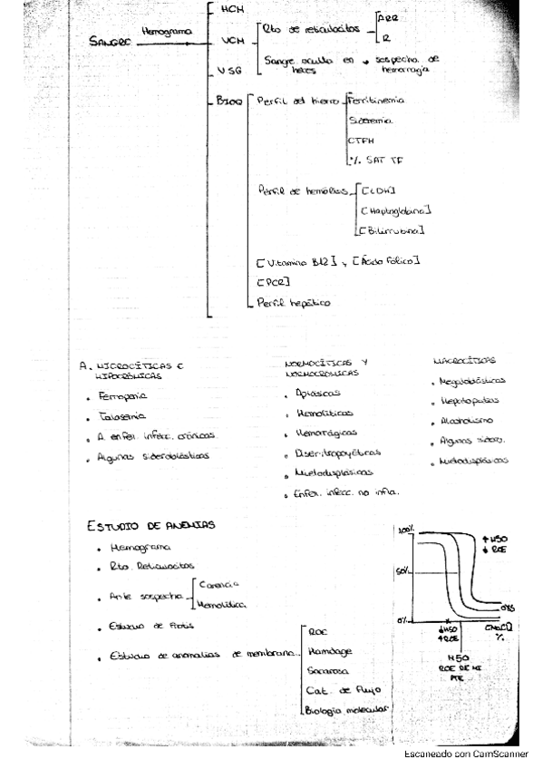 Miniatura del documento esquema-anemias.pdf