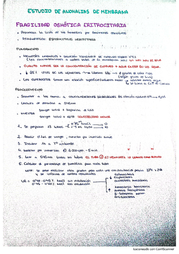 Miniatura del documento Estudio-de-anomalias-de-membrana.pdf