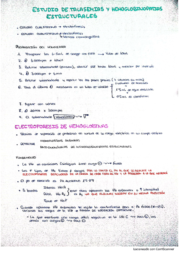 Miniatura del documento Estudio-de-talasemias-y-hemoglobinopatias-estructurales.pdf