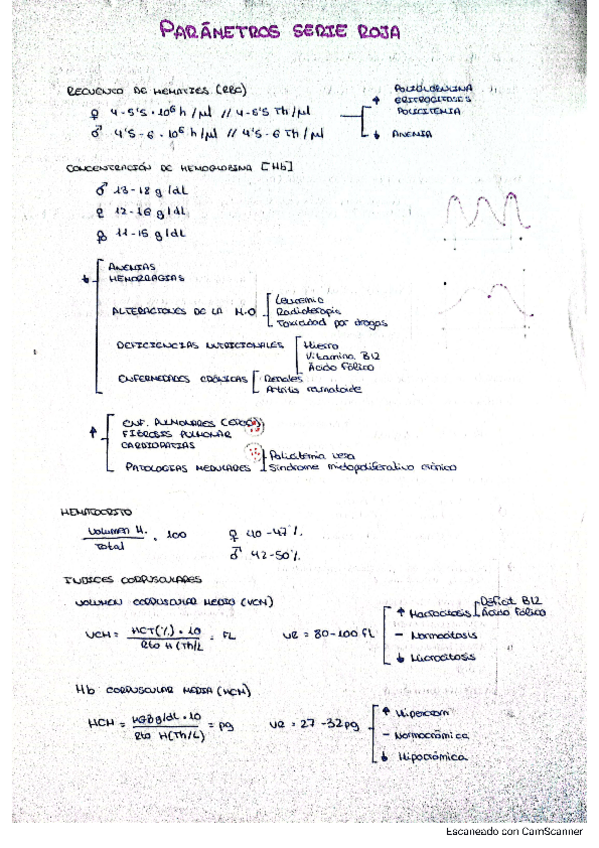 Miniatura del documento Parametros-serie-roja.pdf
