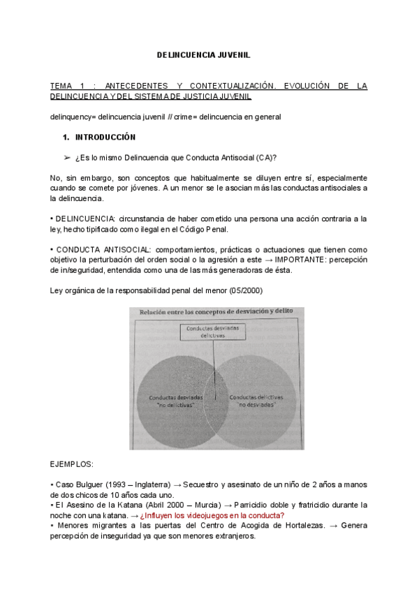 Miniatura del documento Delincuencia-juvenil.pdf