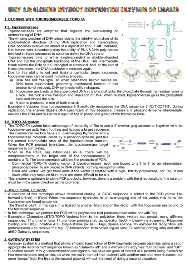 Miniatura del documento 3.6.IngGen.pdf