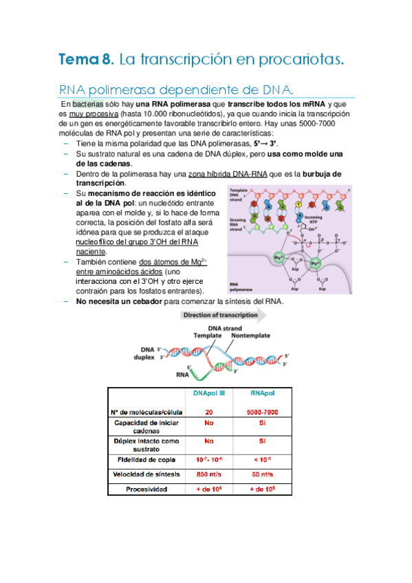 Miniatura del documento Tema-8.-Transcripcion-en-procariotas.pdf