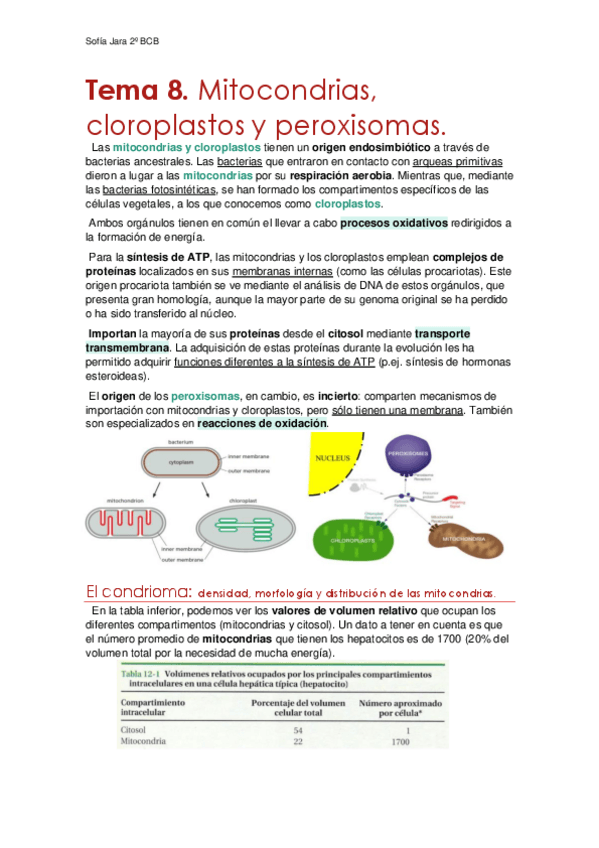 Miniatura del documento Tema-8.-Mitocondrias-cloroplastos-y-peroxisomas.pdf