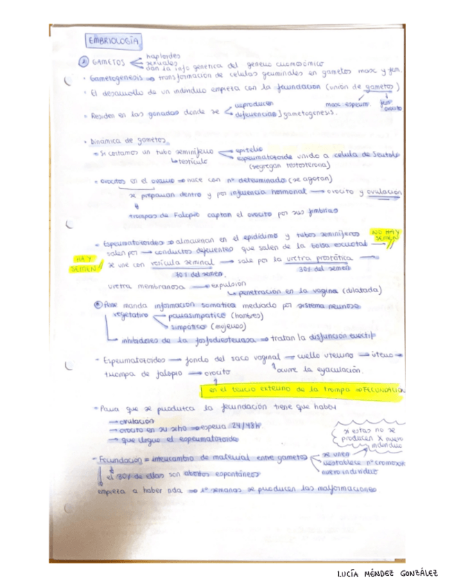 Miniatura del documento Embriologia.pdf
