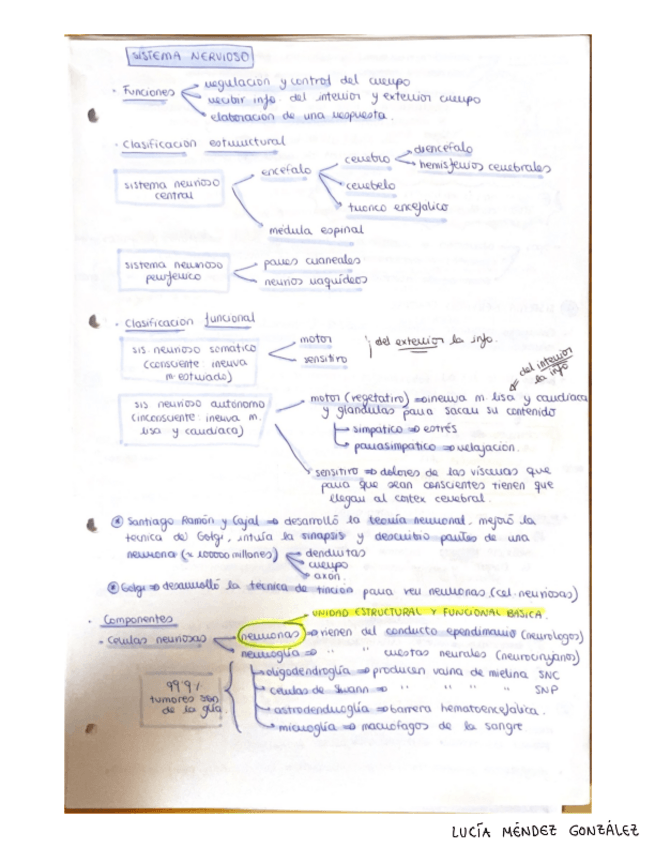 Miniatura del documento Sistema-nervioso.pdf