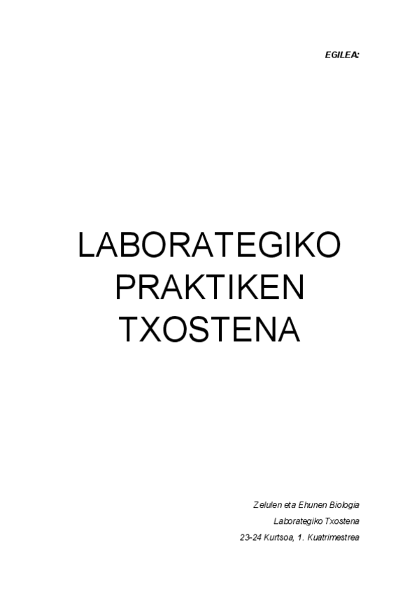 Miniatura del documento Laborategi-praktikako-txostena.pdf