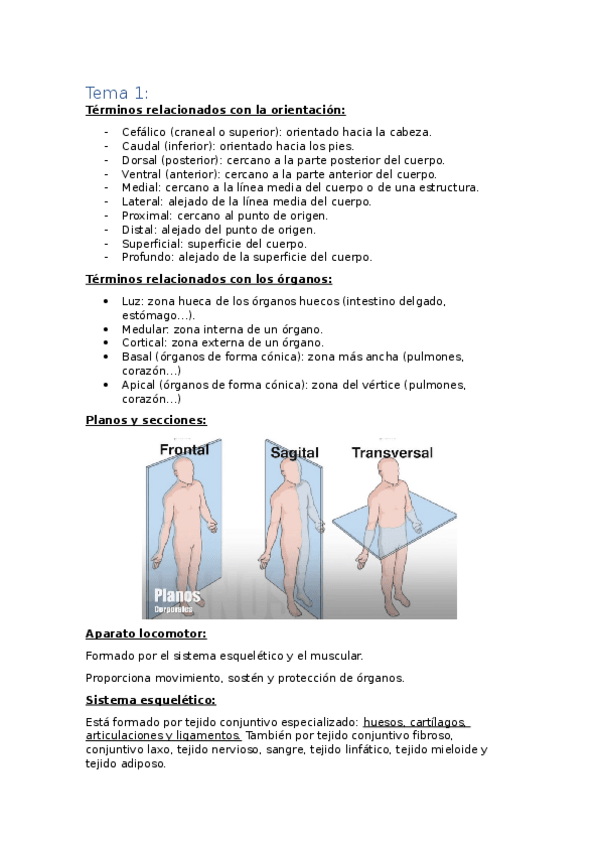 Miniatura del documento Tema-1.docx